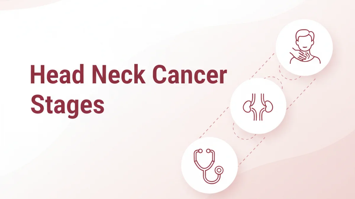 Head & Neck Cancer Stages (I–IV): What Each Stage Means for Treatment